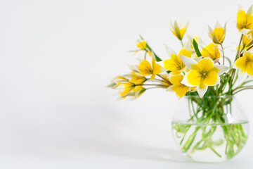 Bright yellow big sunflowers in glass vase on dark table on light texture background. Mockup banner with sunflower bouquet with copy space. springtime concept