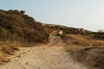 Road to the Fort