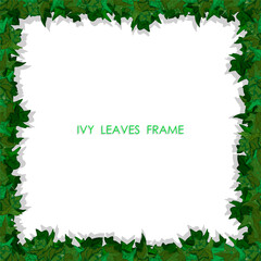 Fototapeta na wymiar Decorative square frame made of green leaves of ivy plant. Floral plant frame made from wandering plant. Realistic vector
