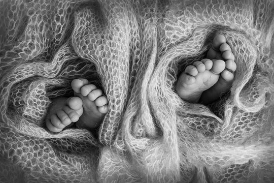 Legs of newborn twins. Two pairs of baby feet covered with wool from a soft plaid. Tiny legs of newborn twins in soft selective focus. Image of the soles of the feet. Black and white photo.