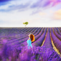Provence, France. Beautiful young woman in a blue dress and straw hat walking between lavender in...
