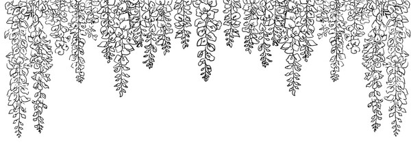 垂れ下がる藤の花