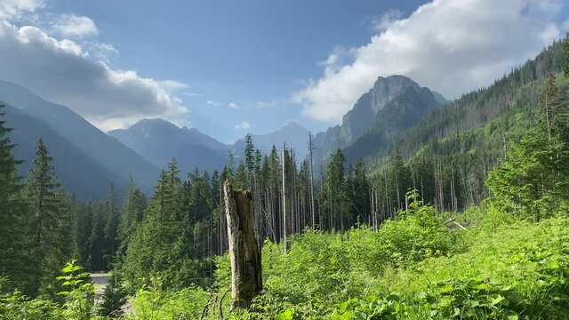 Polish Tatras, view from the road to Morskie Oko, Poland