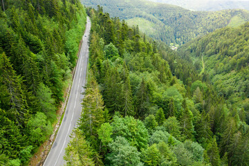 Fototapeta na wymiar Aerial view of winding road in the forest