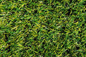 The texture of green artificial grass.Covering for sports stadiums.