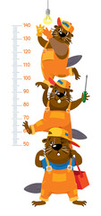 Funny beavers meter wall or height chart - 445164635