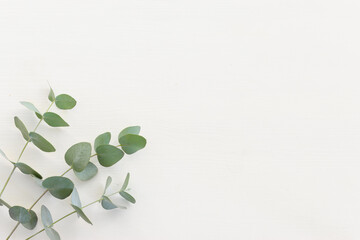 Top view image of eucalyptus composition on white wooden background .Flat lay © tomertu