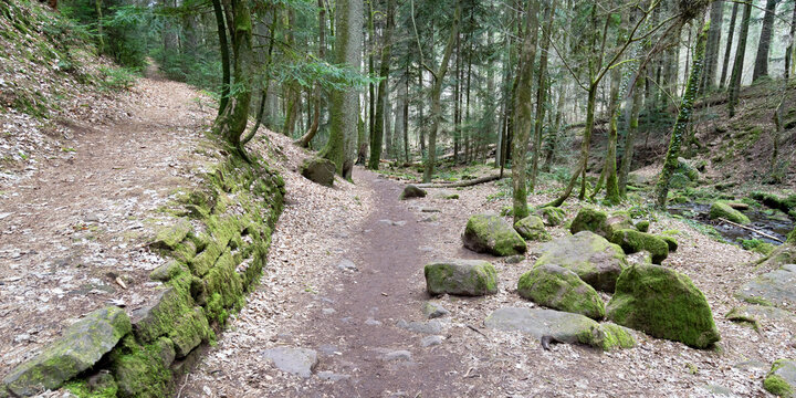 Monbach Bilder Durchsuchen 98 Archivfotos, und Videos