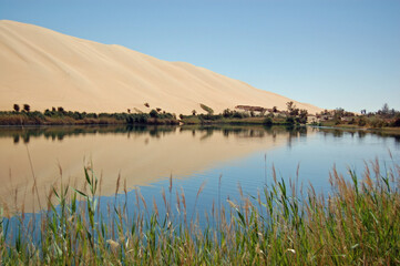Gaberoun Oasis, Ubari Sand Sea, Libya