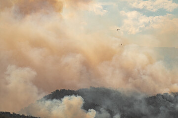 Shot of fire fighting by helicopter in Tasmania, Australia © Matt Palmer/Wirestock