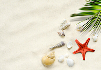 Fototapeta na wymiar Srarfish, seashells on the sand with palm leaf. Travel vacation summer background