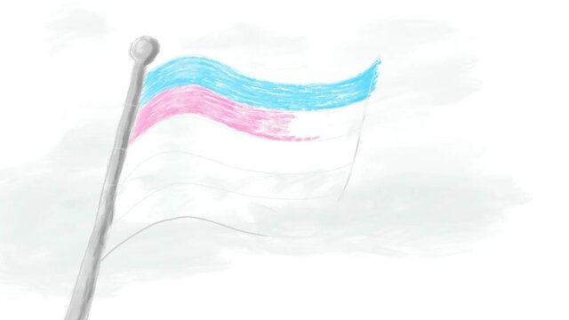 Transgender Flag Drawing Time Lapse