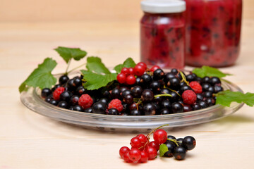 still life with sprigs of red and black currants