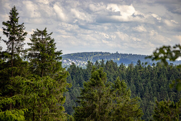 Fernsicht im Sauerland mit blauem Himmel weißen Wolken Bäumen und Blumen