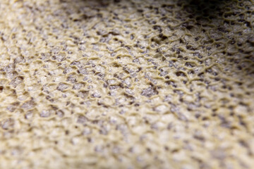 closed honeycomb with honey close-up