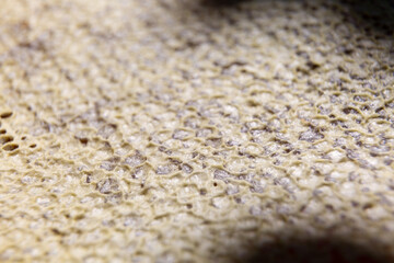 closed honeycomb with honey close-up