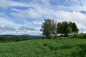 Obraz premium A field of wheat and oats under a cloudy sky, Sainte-Apolline, Québec, Canada