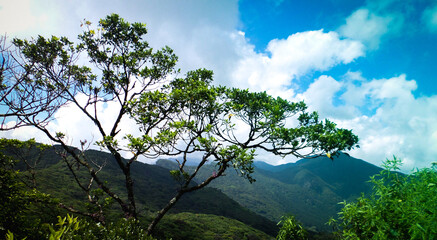 SAMSUNG CAMERA PICTURES