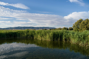 Fototapeta premium Paisaje de laguna con reflejos en verano.