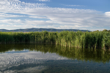 Paisaje de laguna con reflejos en verano. © Gabrieuskal