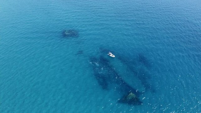 Relitto del capitan Antonio nel mare mediterraneo in Italia