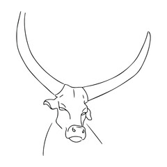 Vector illustration of a bull's head. Portrait of a buffalo with large horns. Silhouette of a bull. Domestic cattle.