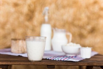 jug of milk, bottle of kefir, cottage cheese, cream and yogurt in bowl, cheese, butter in mow