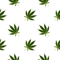 Hemp or cannabis leaves seamless pattern on a white background.