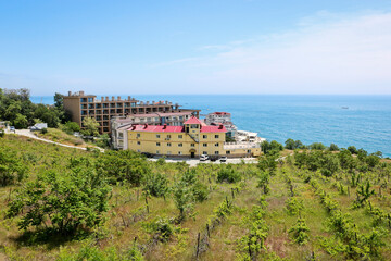 Obraz premium View of the coastal hotel in the vicinity of Yalta, Crimea against the backdrop of the Black Sea. And a young vineyard in the spring.