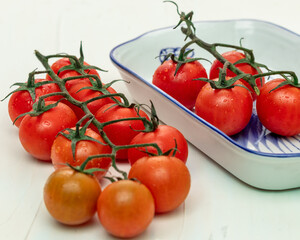tomatoes white background