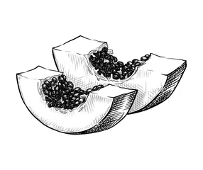 Draagtas Hand drawn sliced papaya. Vector illustration isolated on white background. © Svetlana