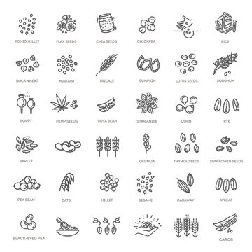 Plant seed vector icon set