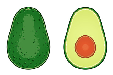 Avocado. Vector illustrations set.