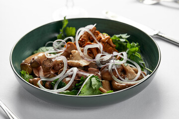 Mushrooms with onions and herbs, assorted pickled mushrooms in a plate on a light background, marinated mushrooms with fresh herbs and onions close-up