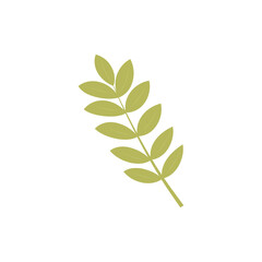 Leaf branch icon. Vector graphics