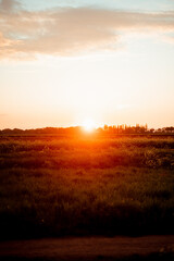 Fototapeta na wymiar Sonnenuntergang über Feld 