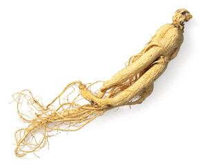 Dried ginseng isolated on white background, top view
