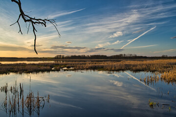 Rel&iexcl;flejos en el lago