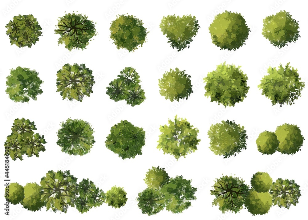 Sticker vector watercolor tree top view isolated on white background for landscape plan and architecture lay