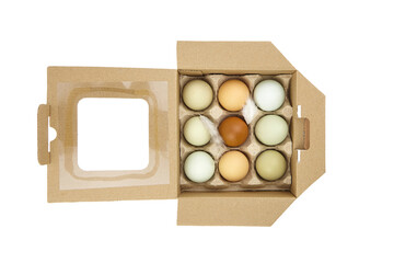 Chicken eggs in tray isolated on white background. Nine eggs