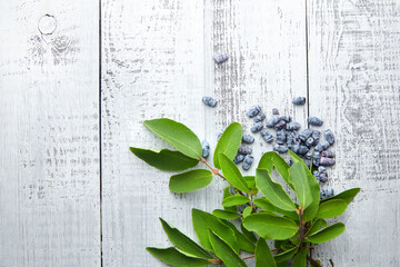 Honeyberry or haskap berries with fresh green leaves on grey wooden background