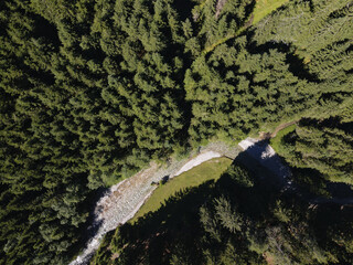 aerial photo of a forest