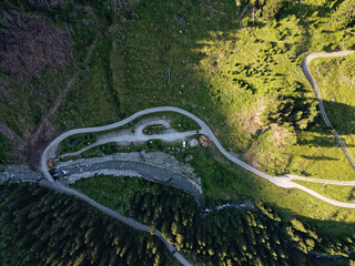a road in the forest