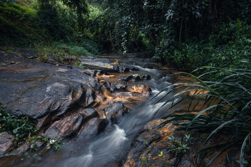 stream after rain in tropical forest
