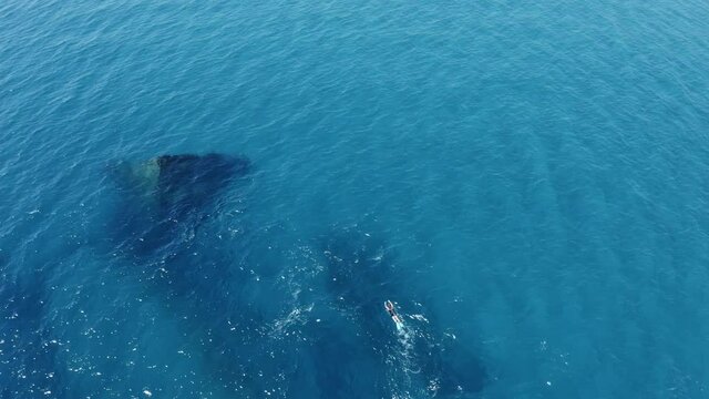 Relitto del capitan Antonio nel mare mediterraneo in Italia