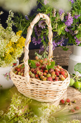 Fototapeta na wymiar Forest strawberries in a basket on a wooden table with wildflowers, summer still life