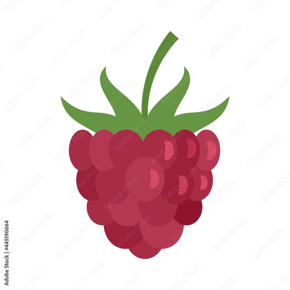 Poster dessert raspberry icon flat isolated vector