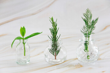 green mint, rosemary and dill leaves in a glass bottle