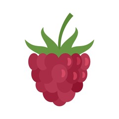 Dessert raspberry icon flat isolated vector