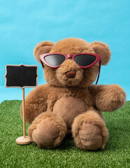 Cute teddy bear with red sunglasses and little chalkboard on green grass, with blue background